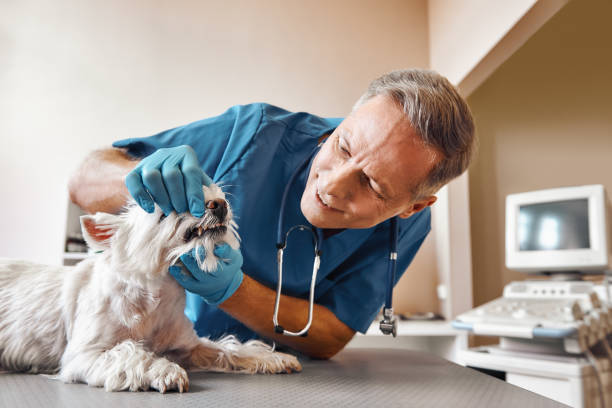 Best Emergency Gum Treatment in Yakima, WA