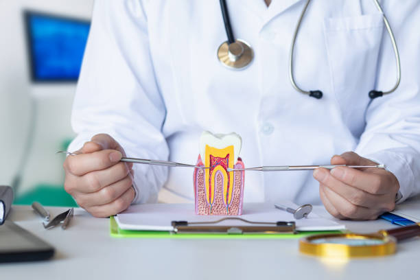 Best Emergency Dental Care for Broken or Chipped Teeth in Yakima, WA